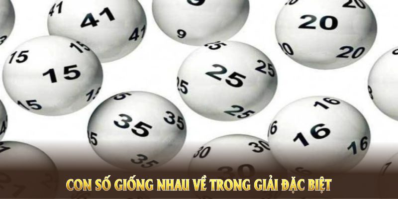 Nhiều bí kíp hay giúp bạn tăng cơ hội chiến thắng trong cá cược đề kép