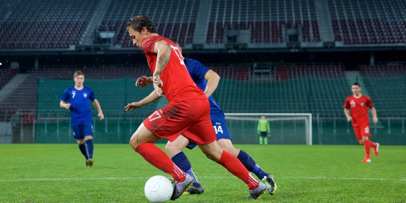 kèo giữ sạch lưới